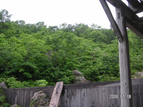 s_20060715_pict0098.jpg
